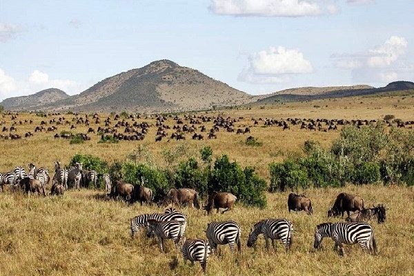 Masai Mara National reserve