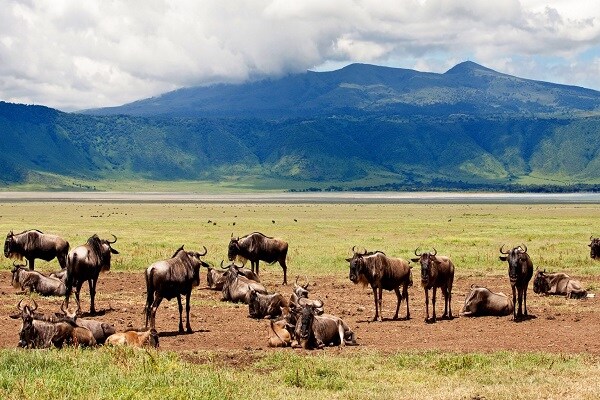 Ngorongoro crater1