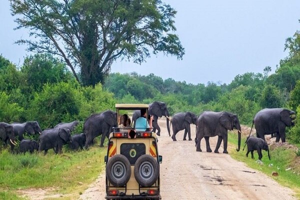 Gm drive at queen elizabeth National park