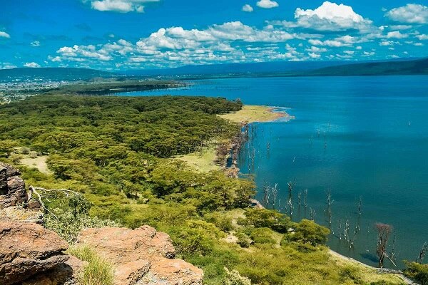 Lake manyara national park1